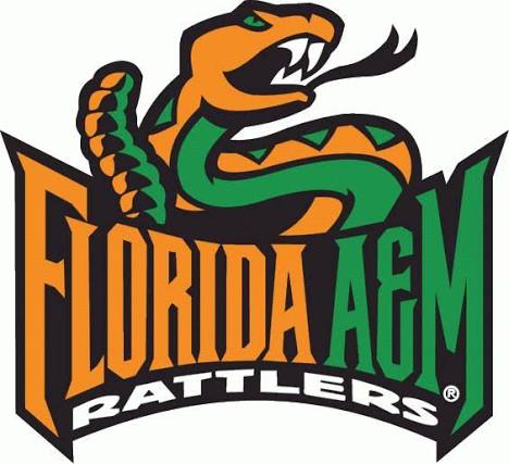 Florida A&M University women's flag football logo