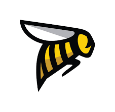 SCAD Savannah women's flag football logo
