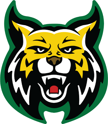 Bishop State Community College women's flag football logo