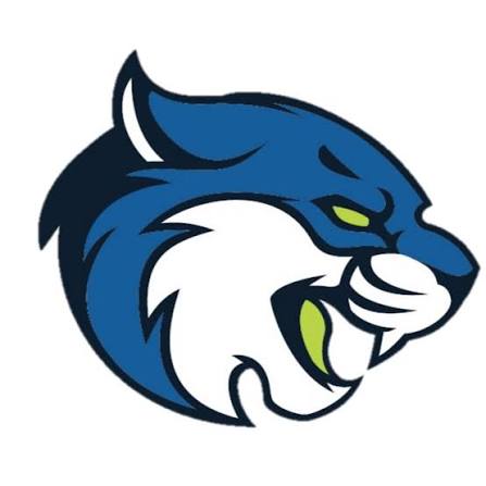 Bryant & Stratton women's flag football logo