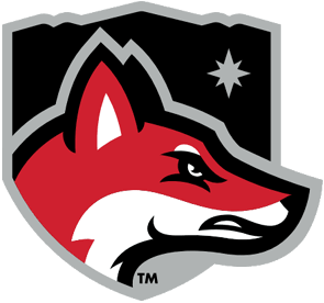 North Greenville University women's flag football logo