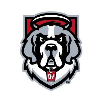 D'Youville  University women's flag football logo