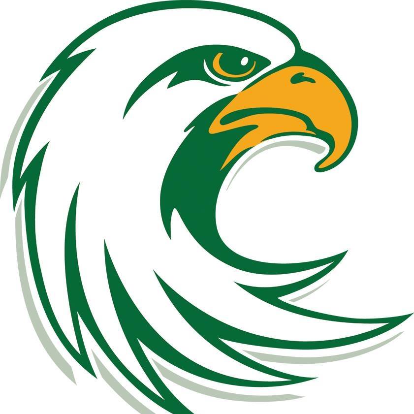 Irvine Valley College women's flag football logo