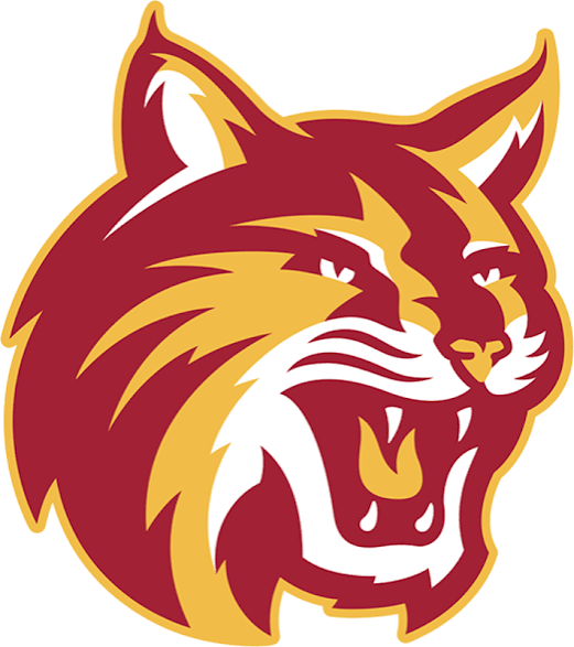 Saddleback women's flag football logo