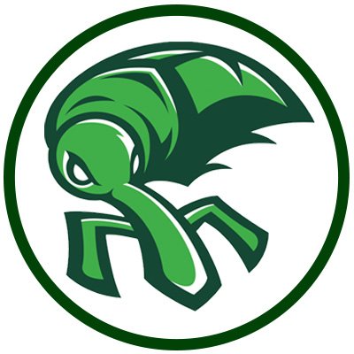 Enterprise State Community College women's flag football logo