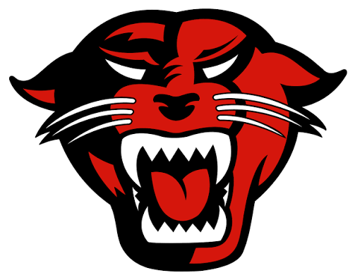 Davenport University women's flag football logo