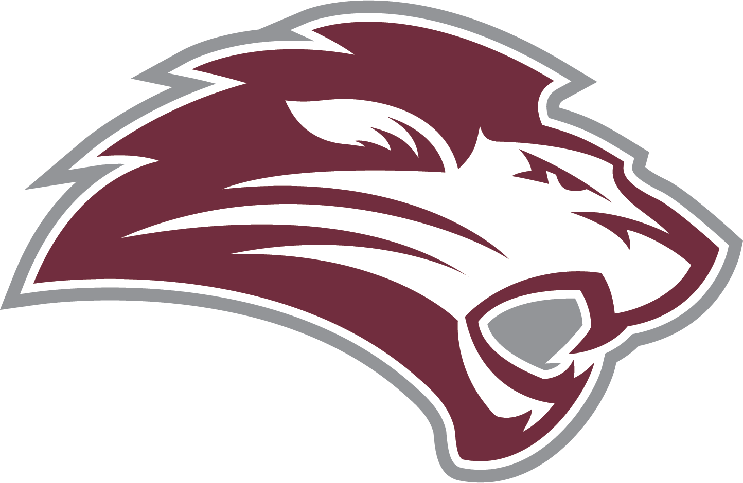 Freed-Hardeman University women's flag football logo