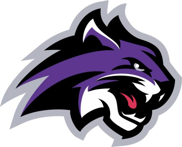 Wiley College women's flag football logo