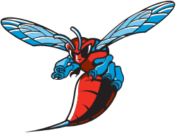 Delaware State University women's flag football logo