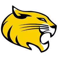 Hollins University women's flag football logo