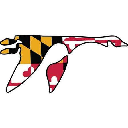 Washington College women's flag football logo