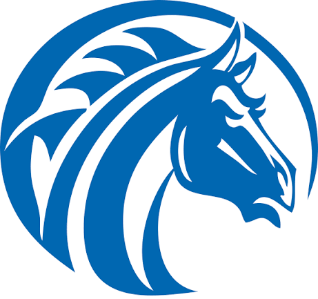 Fayetteville State University women's flag football logo