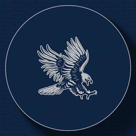 Dickinson State University women's flag football logo